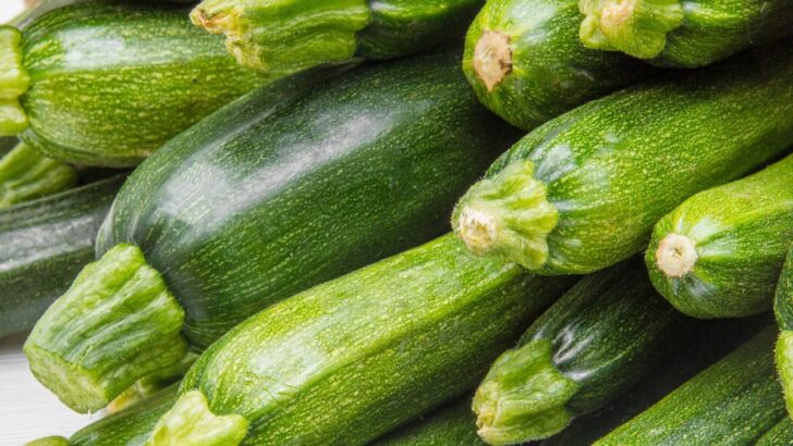 What To Do With Too Much Zucchini – 12 Great Ideas for Surplus