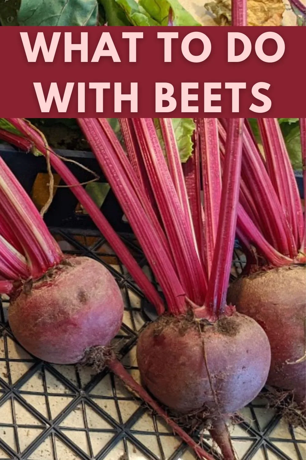 what to do with beets