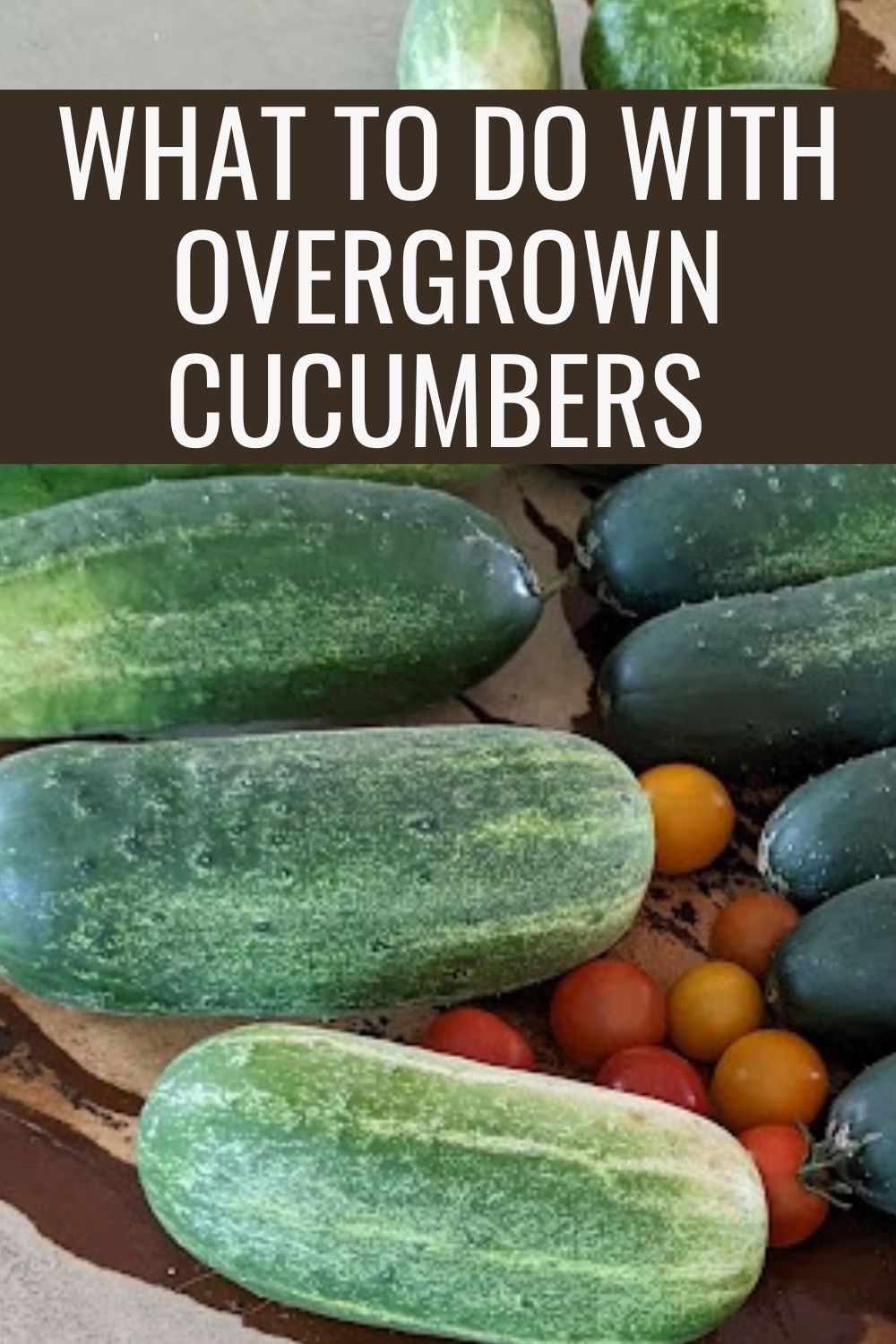 What to do with overgrown cucumbers