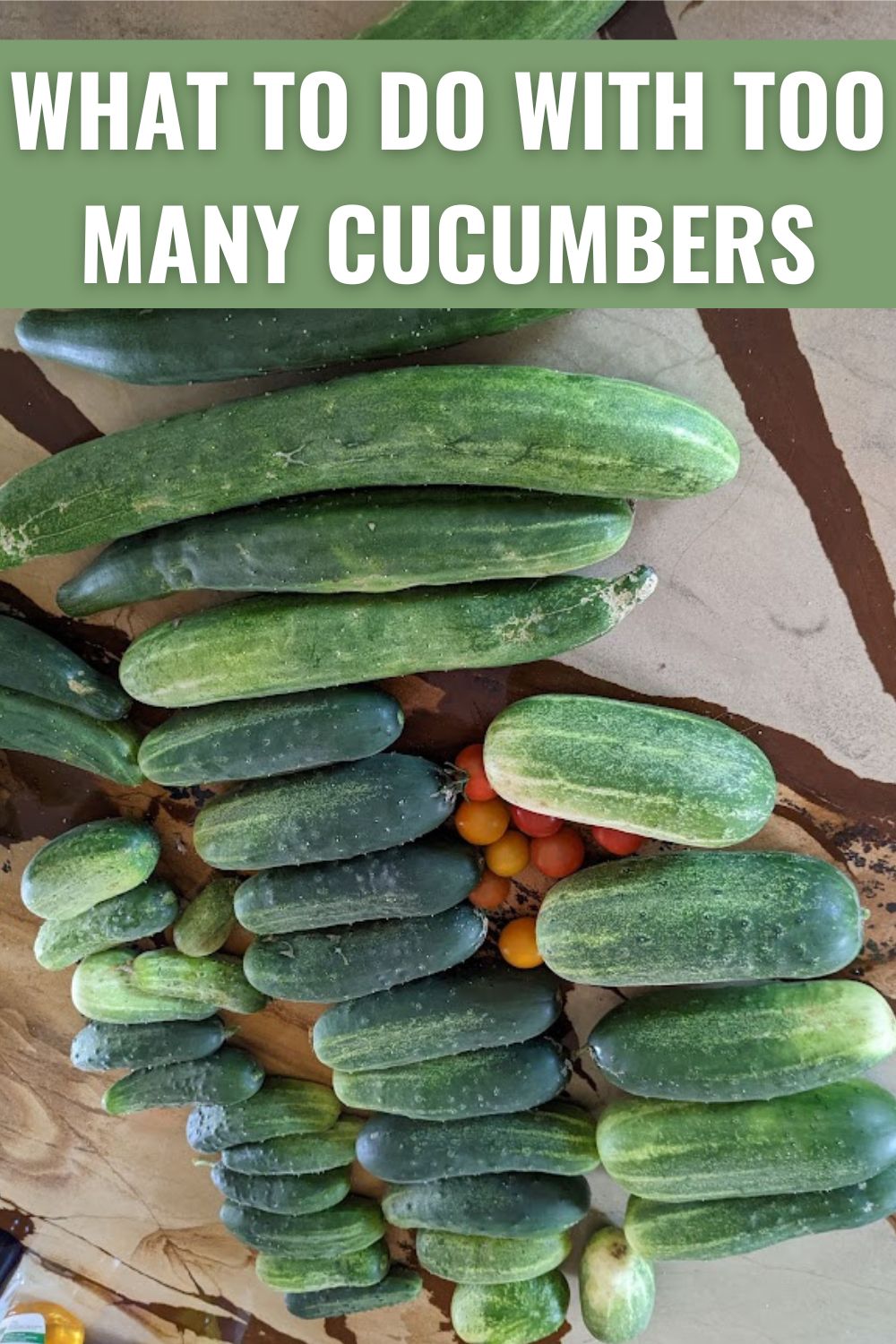 what to do with too many cucumbers