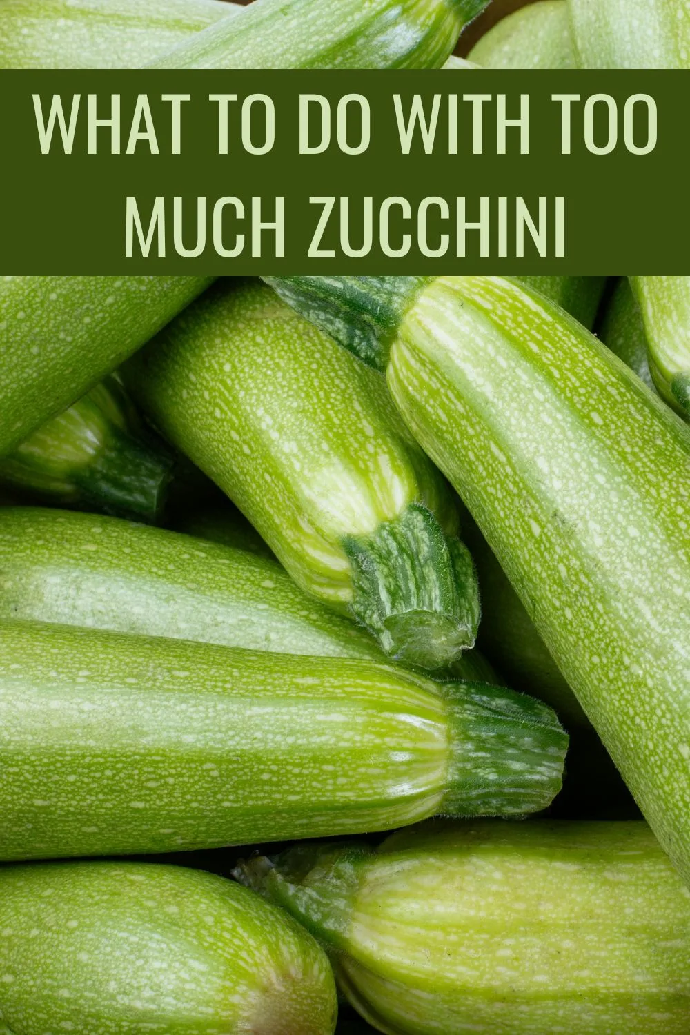 what to do with too much zucchini