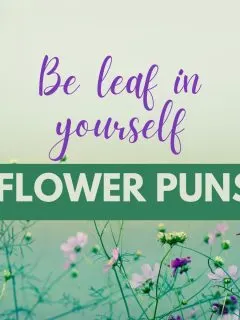 be leaf in yourself flower puns