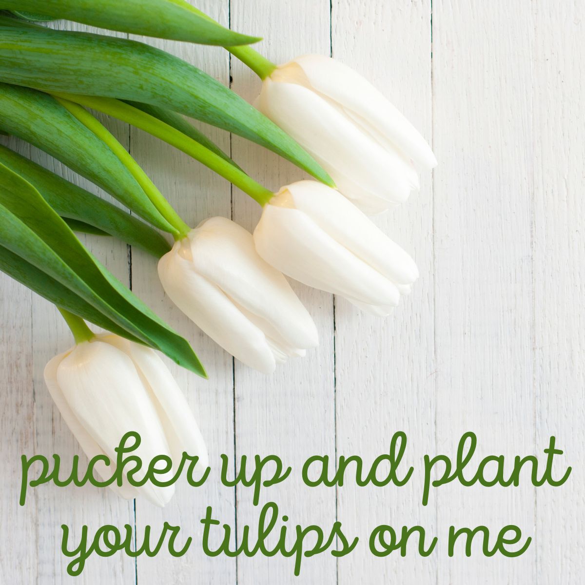 pucker up and plant your tulips on me