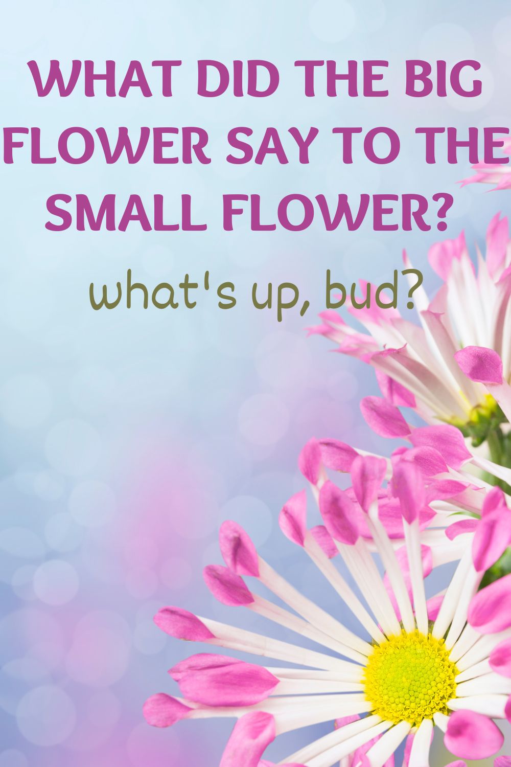 What did the big flower say to the small flower? What's up, bud? 