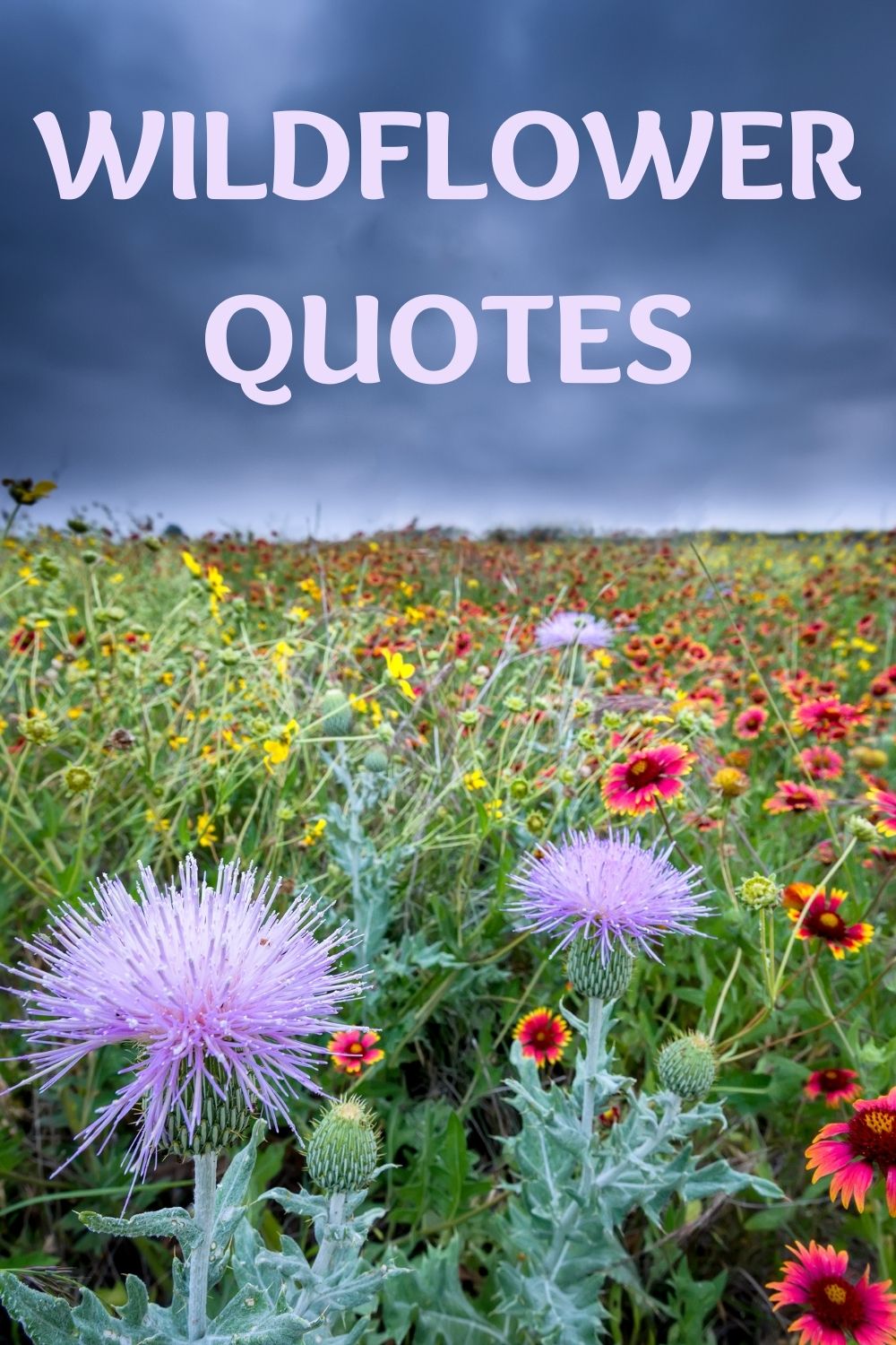 wildflower quotes