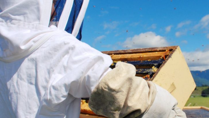 Do You Need A Full Bee Suit?