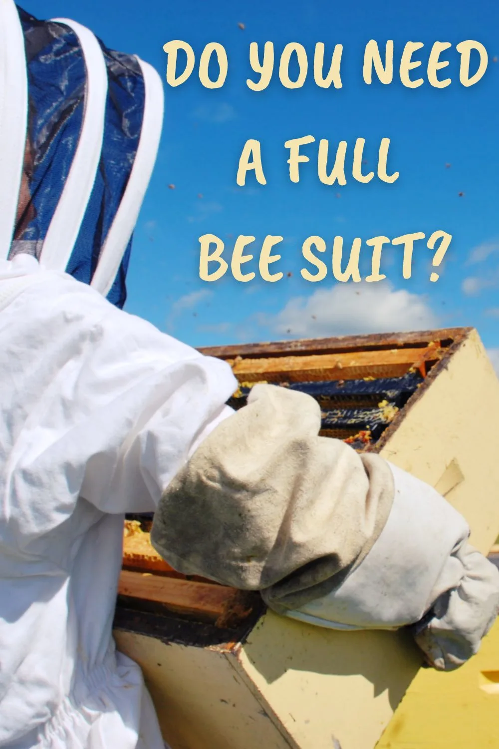 Do you need a full bee suit?