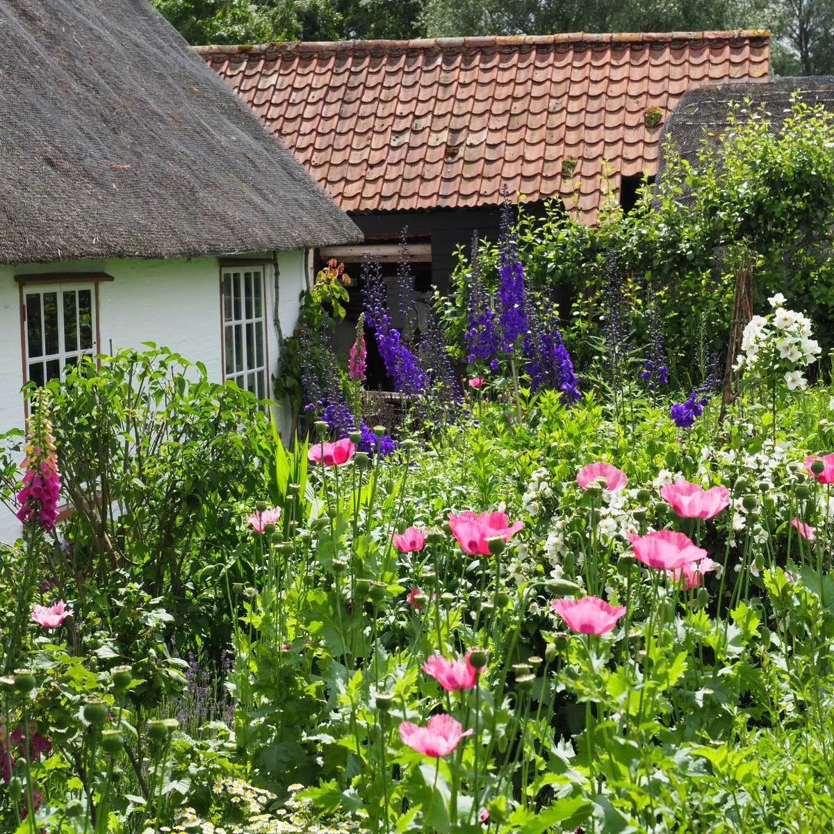 English cottage shed and flower garden