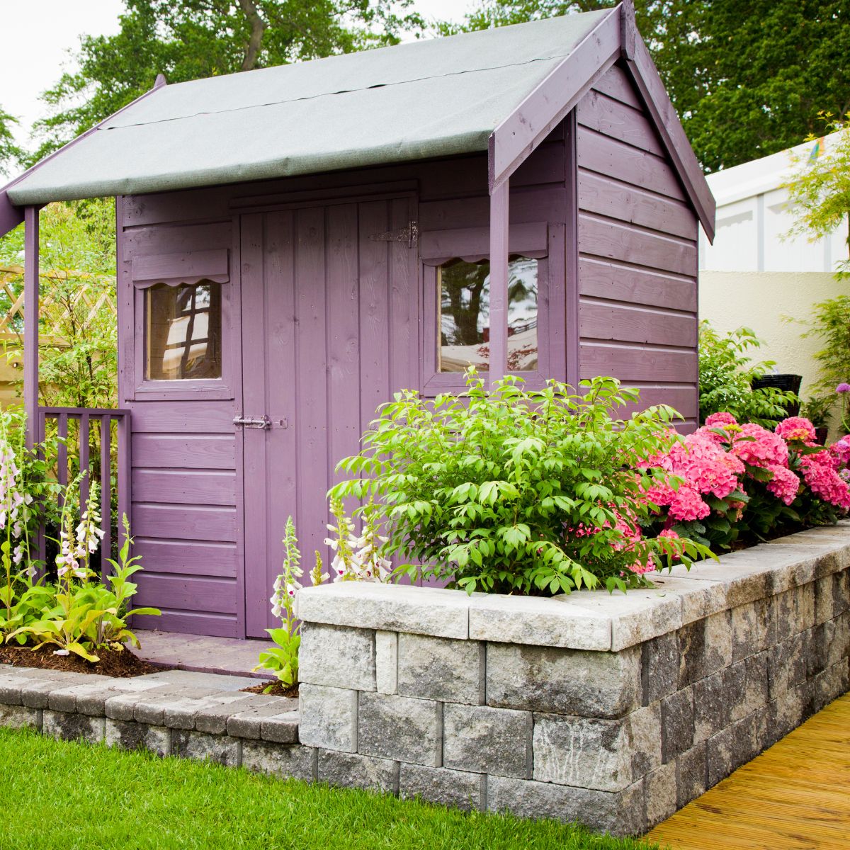 A lavender colored shed, with a stone retaining wall and some pink hydrangea flowers.