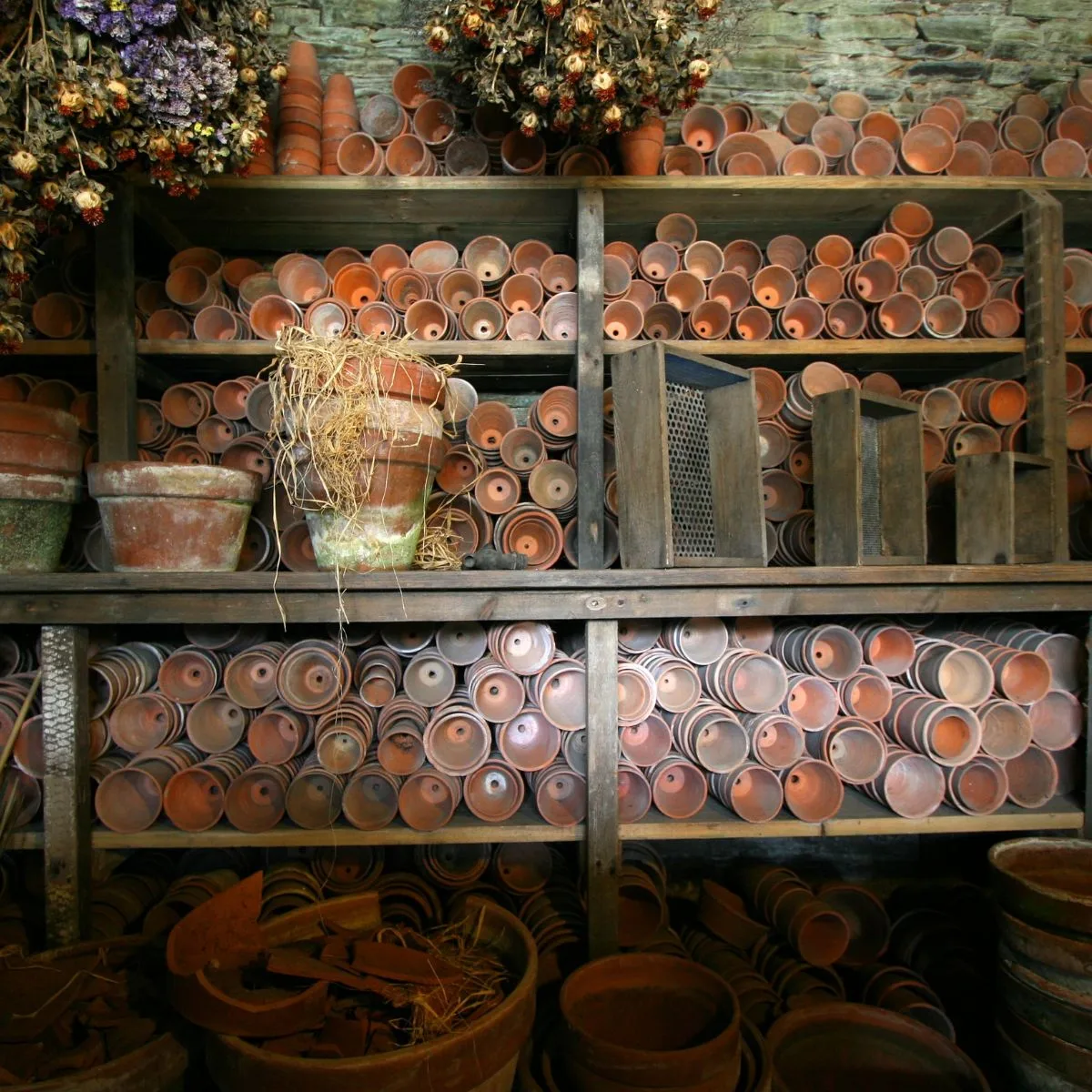 Lots of pots organized in a potting shed.