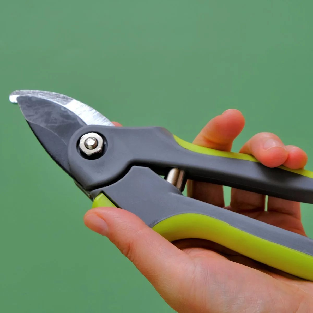 A hand holding a pruning tool.