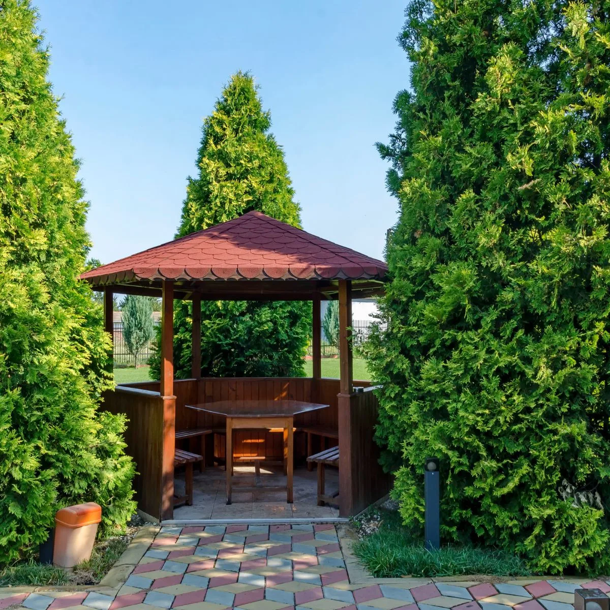 A wooden gazebo tucked in between tall evergreens.