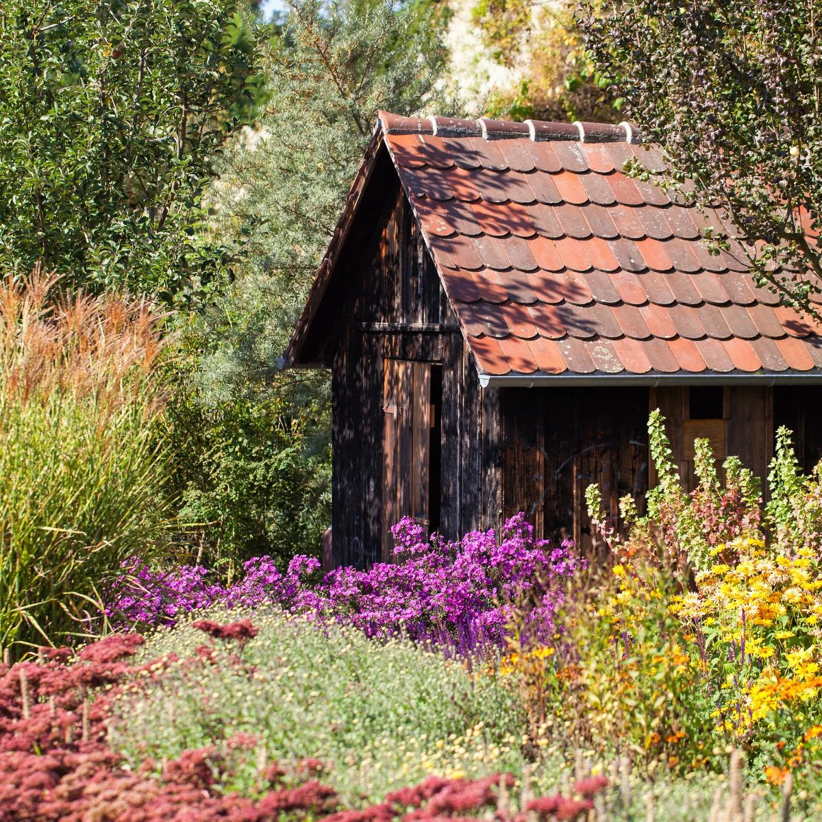 Wooden shed surrounded by beautiful cottage style flowers