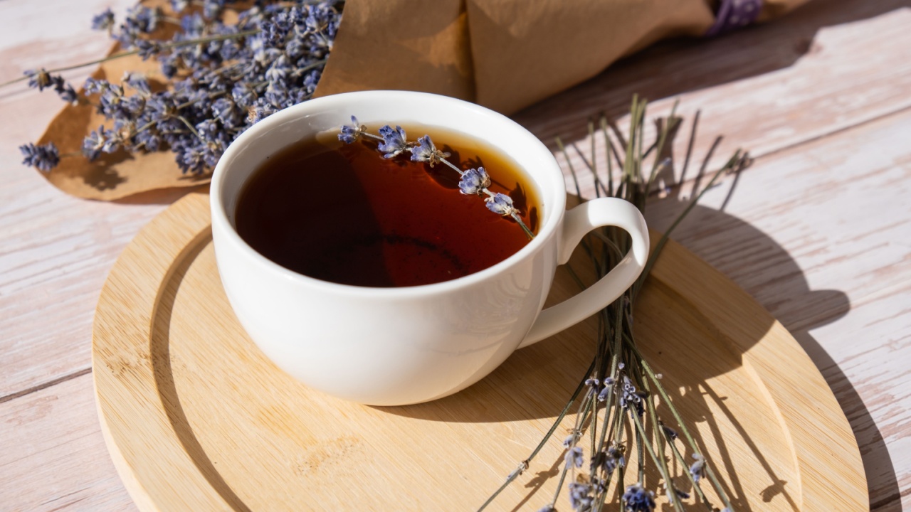 Healthy homemade cup of lavender tea. Organic natural home grown herb for teas. White cup of tea with dried lavender flowers. Healthy living wellbeing