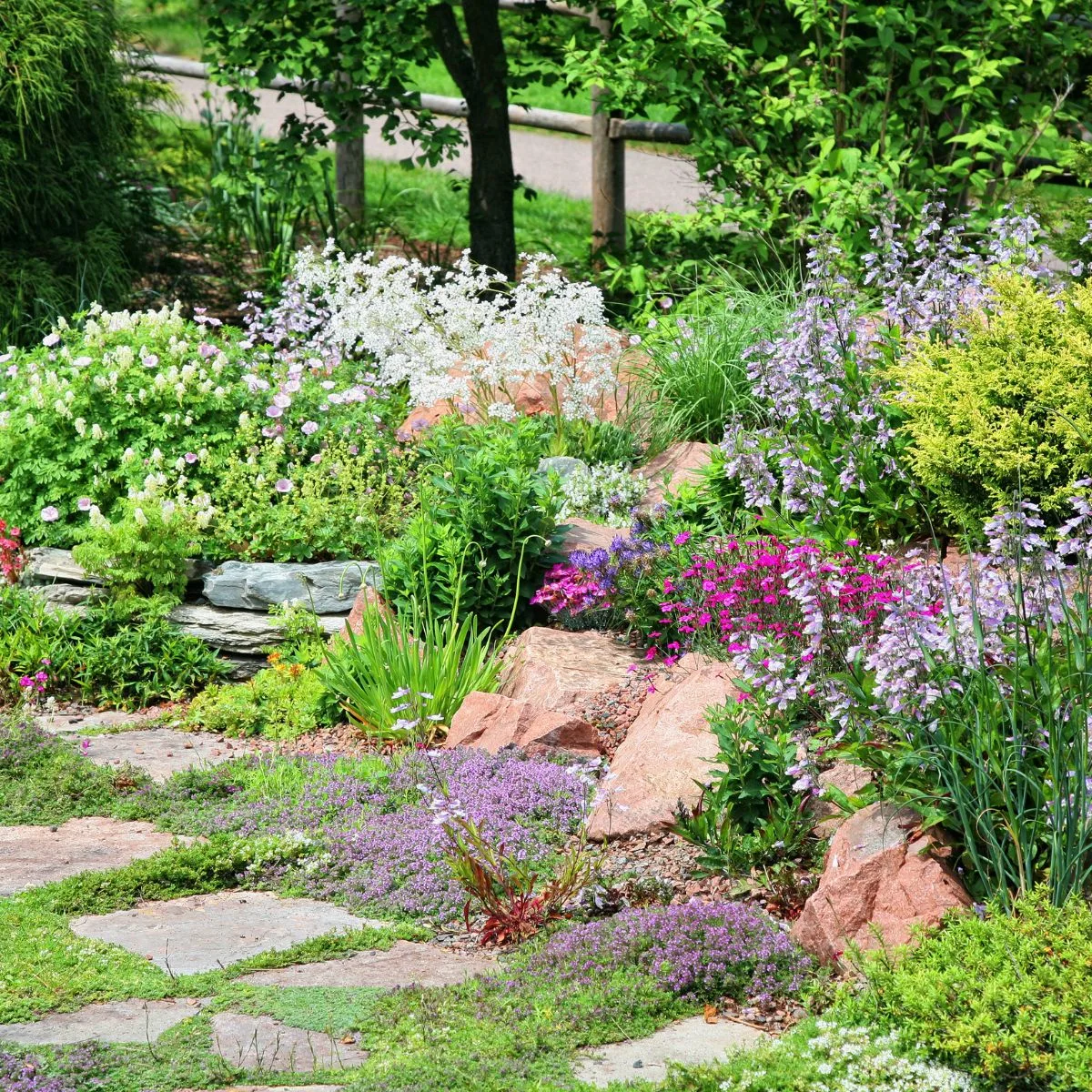A rock garden at the end of the woods, with an explosion of blooms in many pretty colors: white, pink, lavender and purple. 
