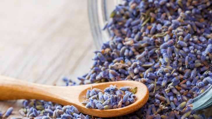 How To Dry Lavender – 3 Steps (Plus What To Do With It!)