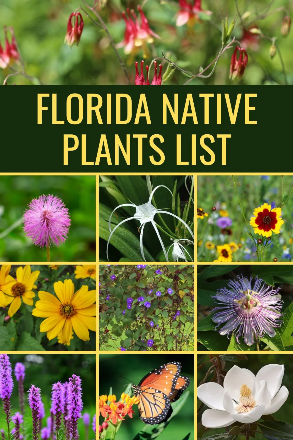 Florida native plants list.