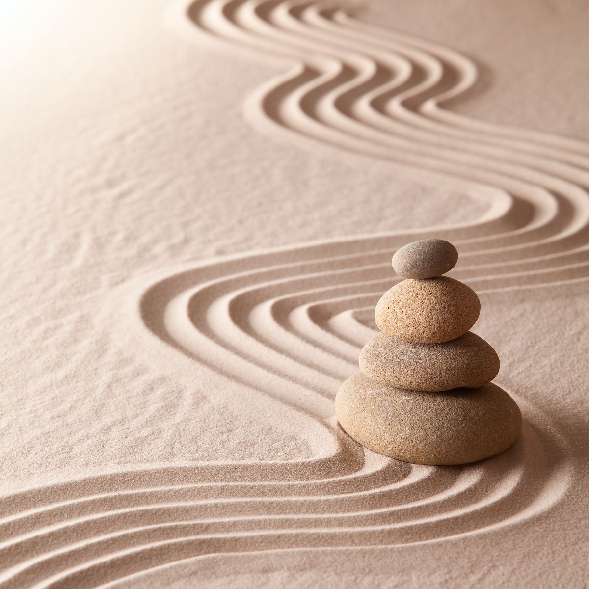 Japanese zen rock garden.