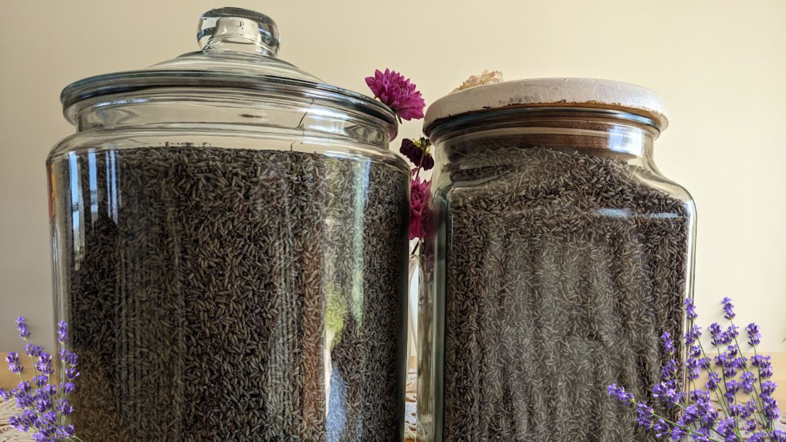 glass jars filled with lavender buds.