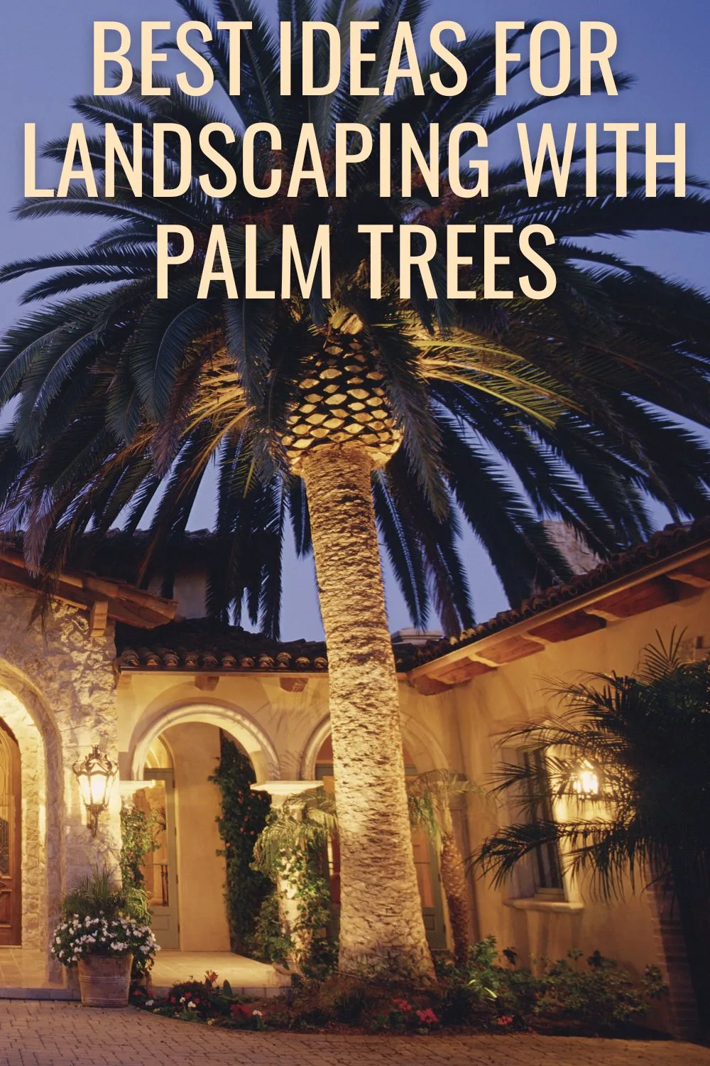 Best ideas for landscaping with palm trees. 