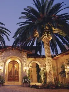 giant palm tree in front of a beautifully lit house.