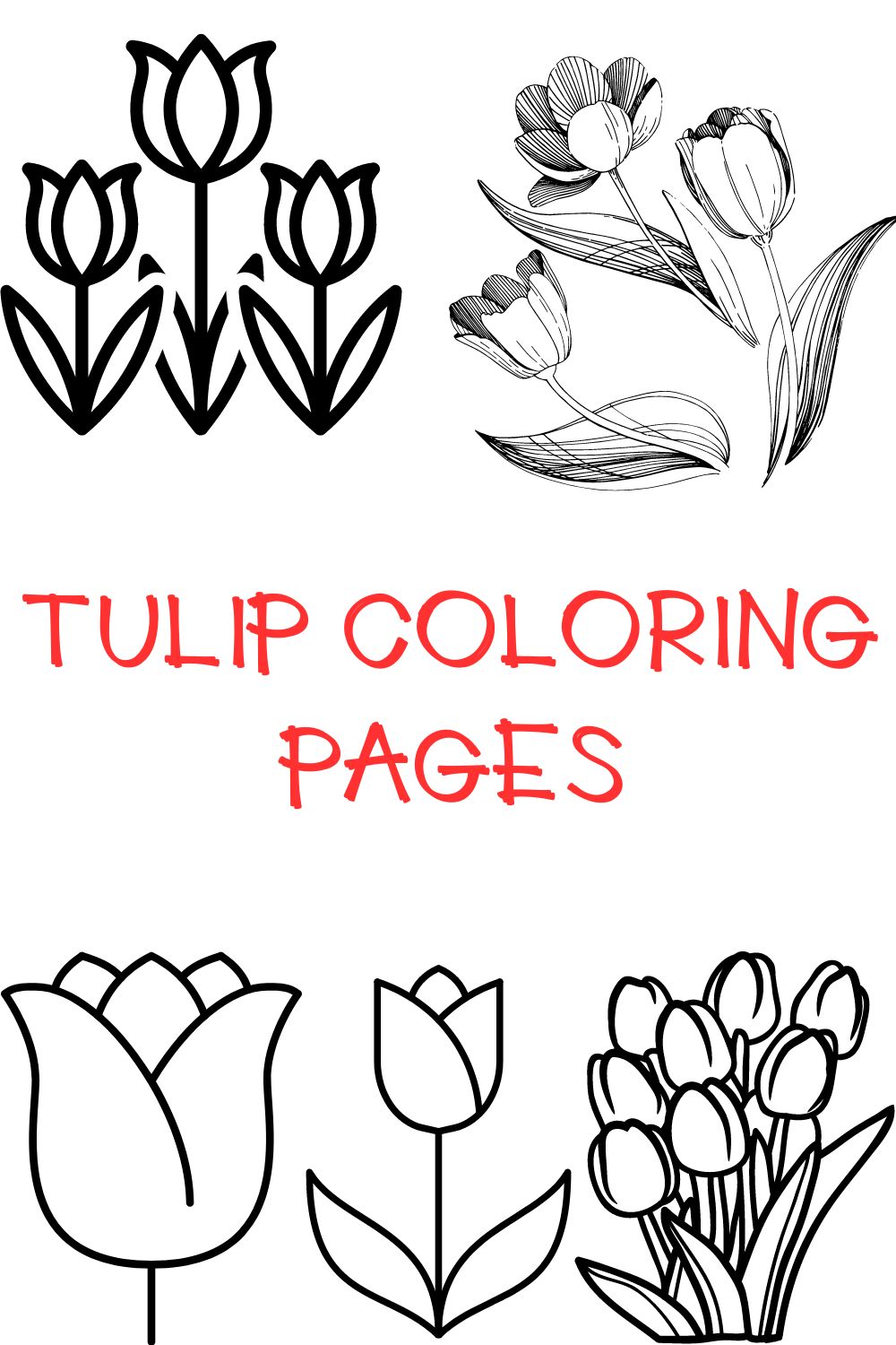 Tulip coloring pages.