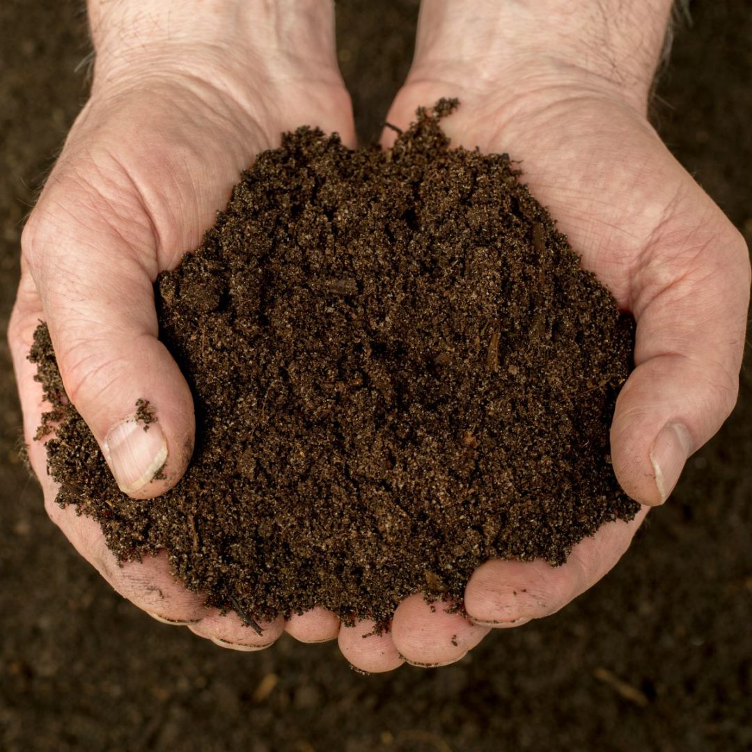 How To Make Compost For Your Garden