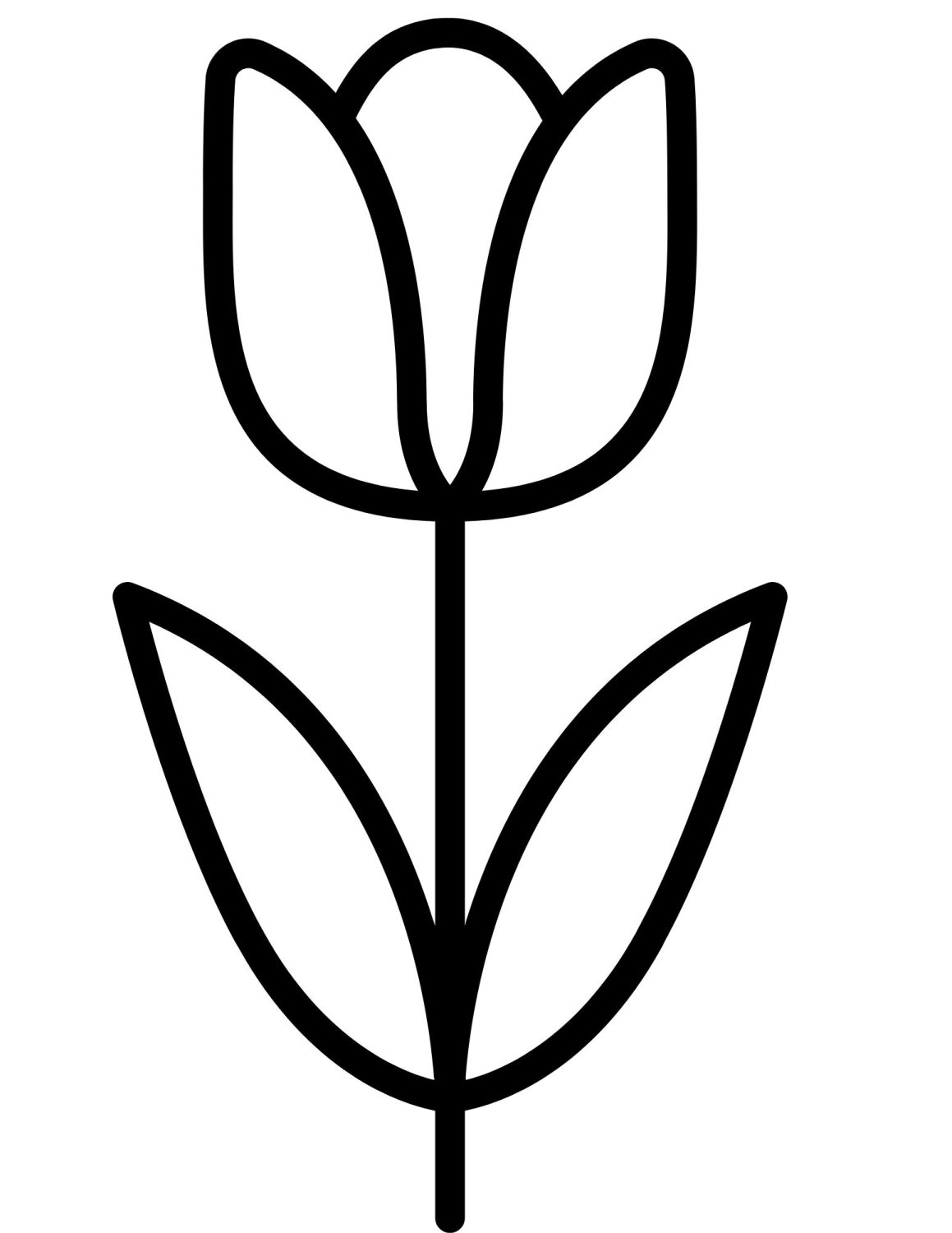 Single tulip bloom coloring sheet.