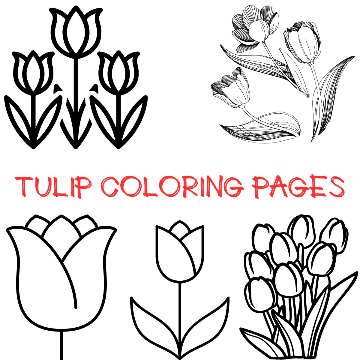 Several tulips drawings for coloring. 