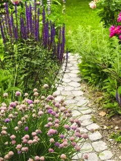 stone walkway in a flower garden.