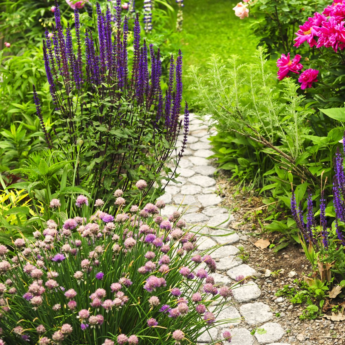 Stone walkway in a flower garden
