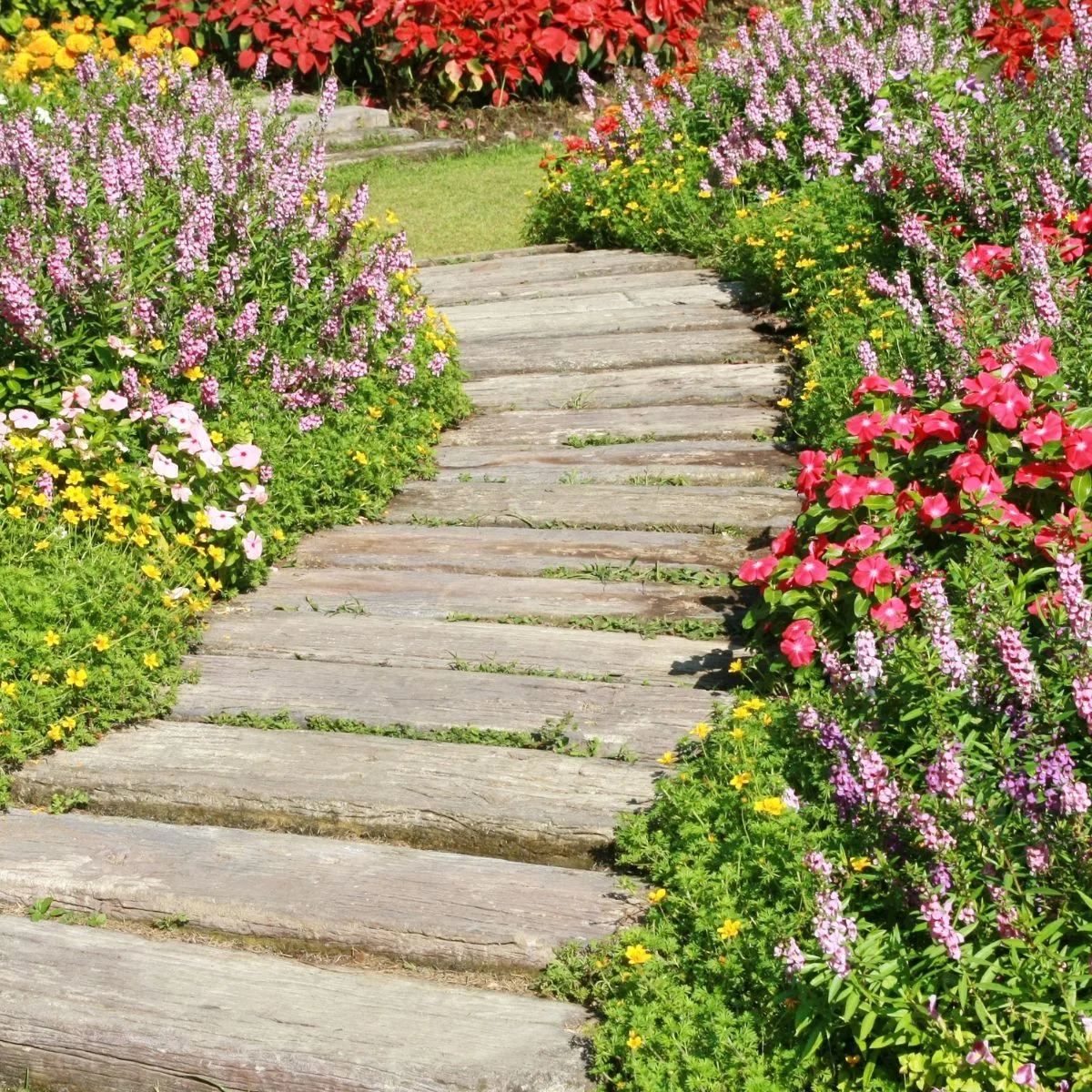 a walkway made of weathered wood in the middle of a flower garden. 
