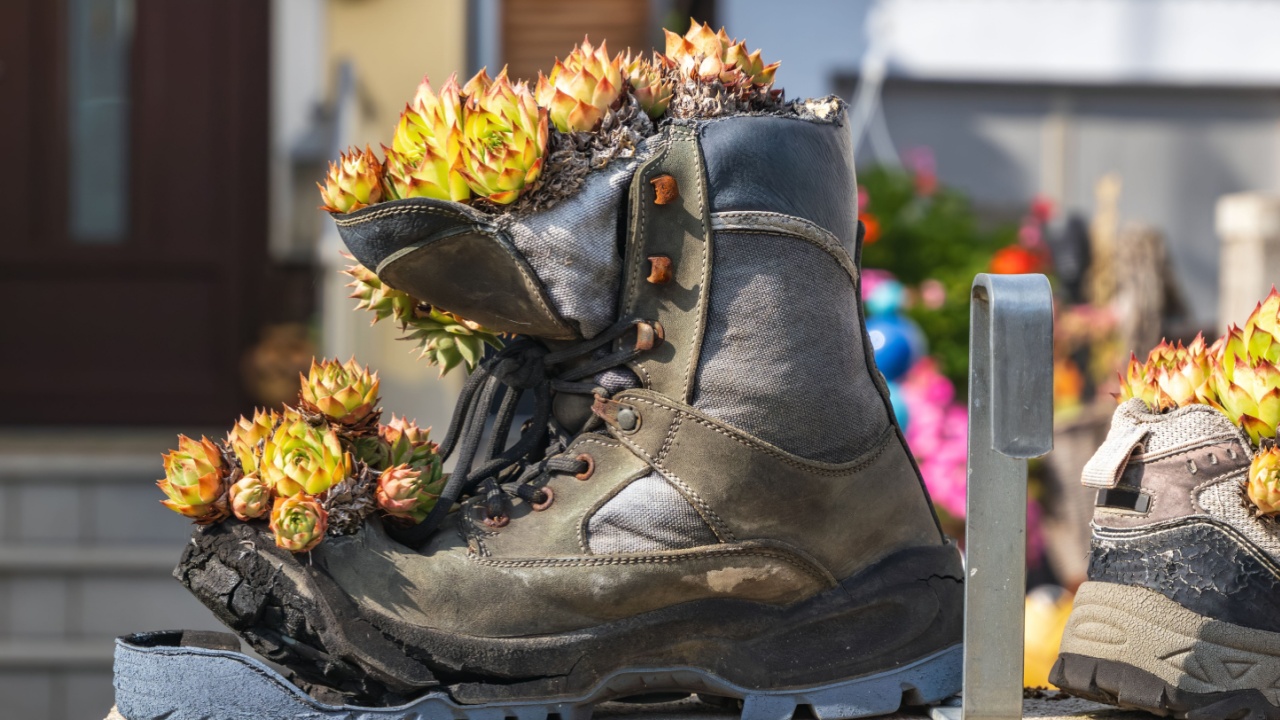 Old hiking boots transformed into unique planters filled with colorful succulents in an outdoor display during a sunny day