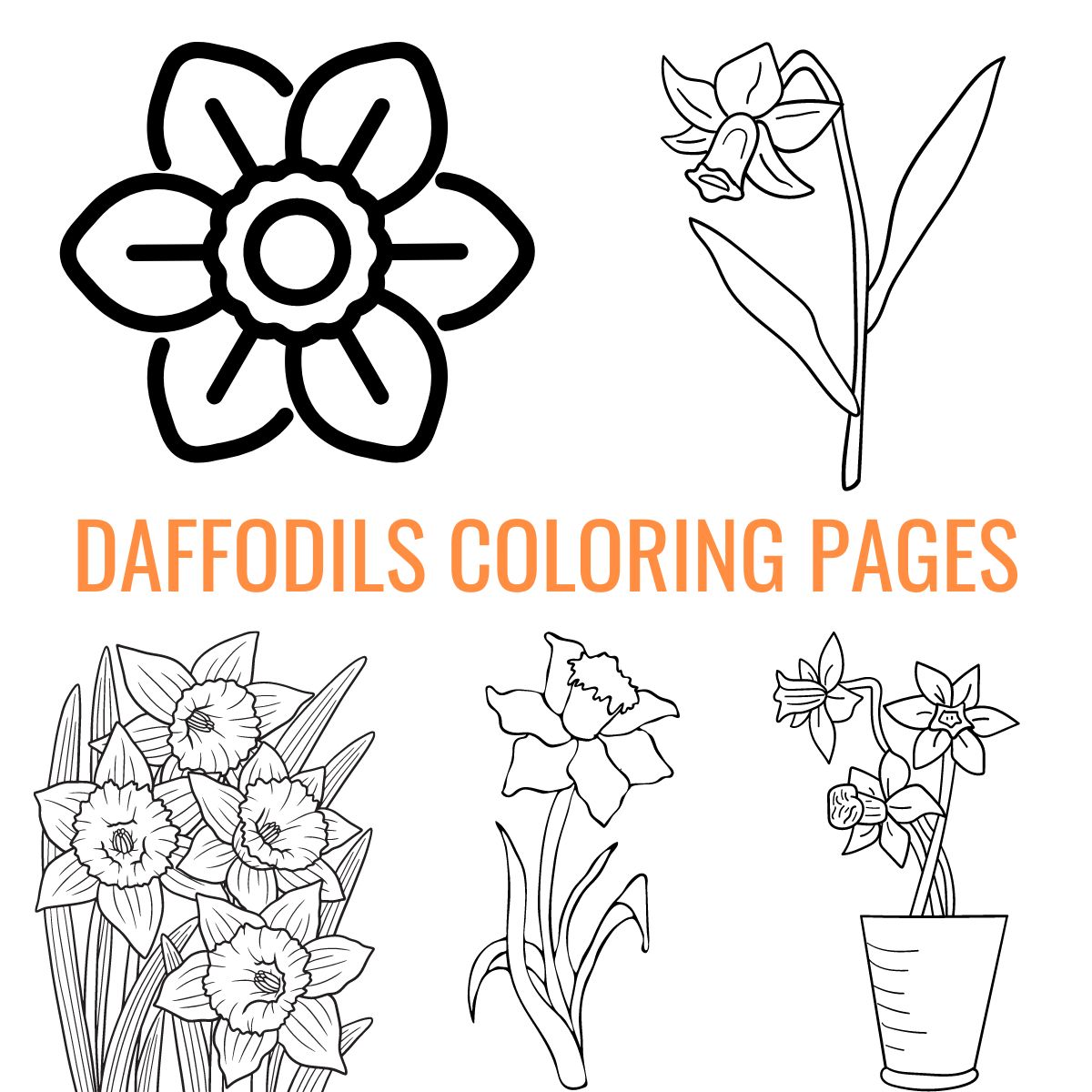 a collage of daffodils coloring pages.