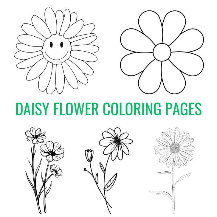 10 Daisy Coloring Pages with Aesthetic Vibes for a Serene Escape