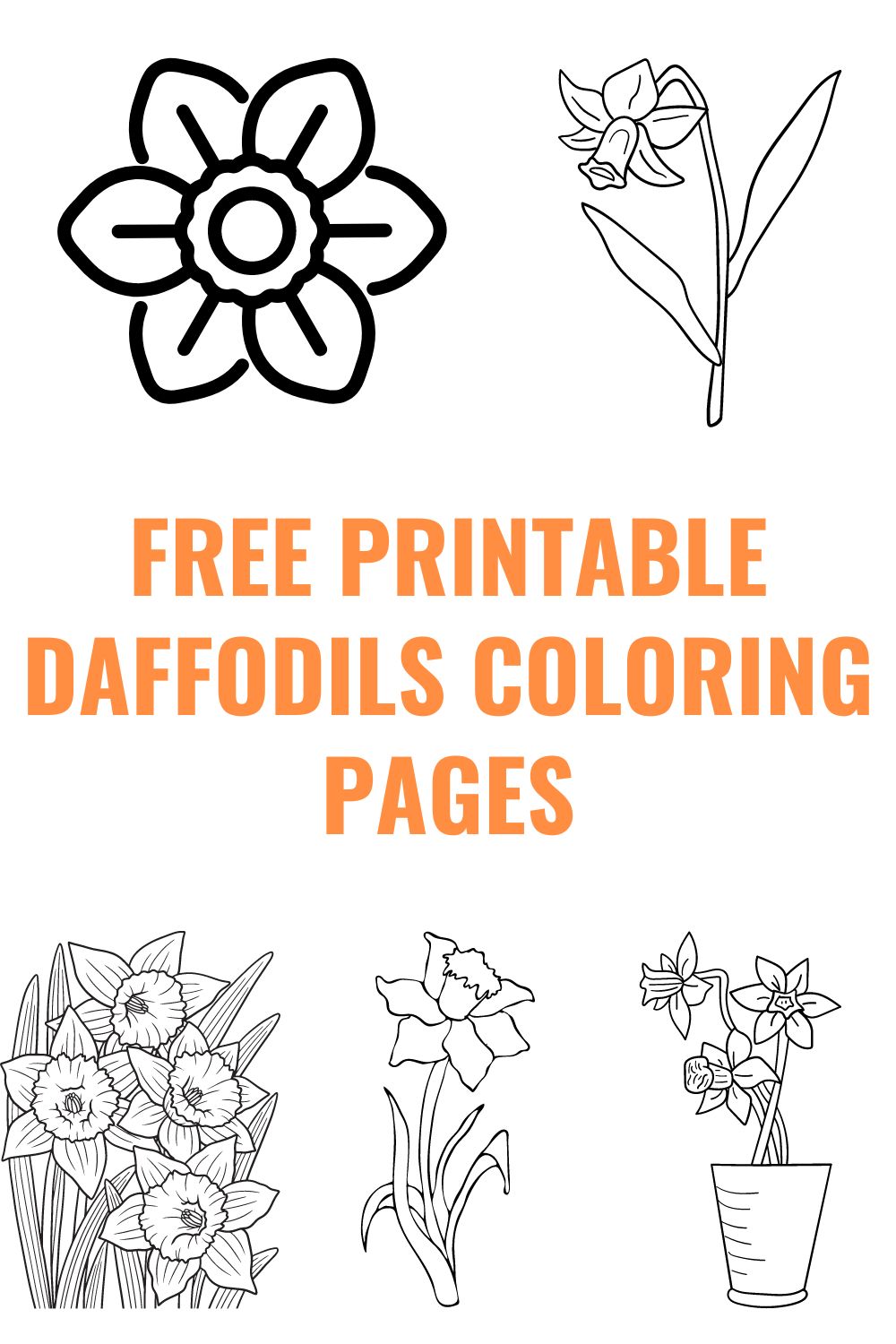 Free printable daffodils coloring pages. 