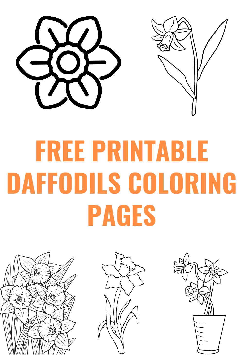 Free printable daffodils coloring pages.