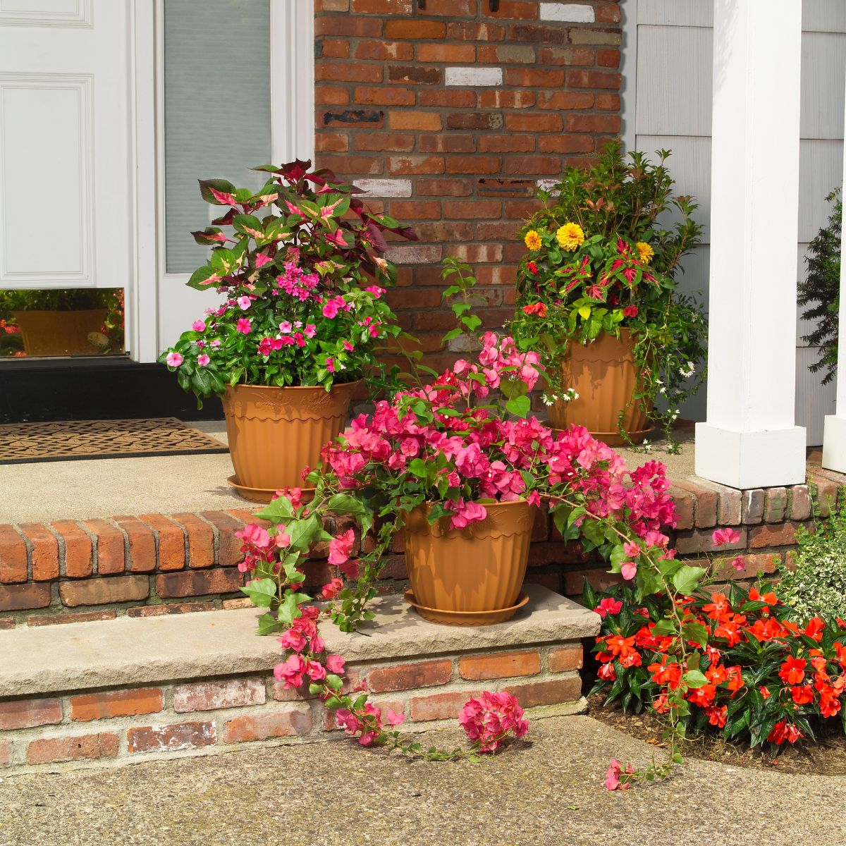 a set of 3 large ceramic pots with warm-colored flowers cascading over the house's front steps. 