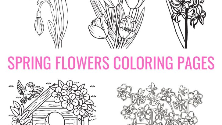 Free Spring Flowers Coloring Pages for Kids and Adults