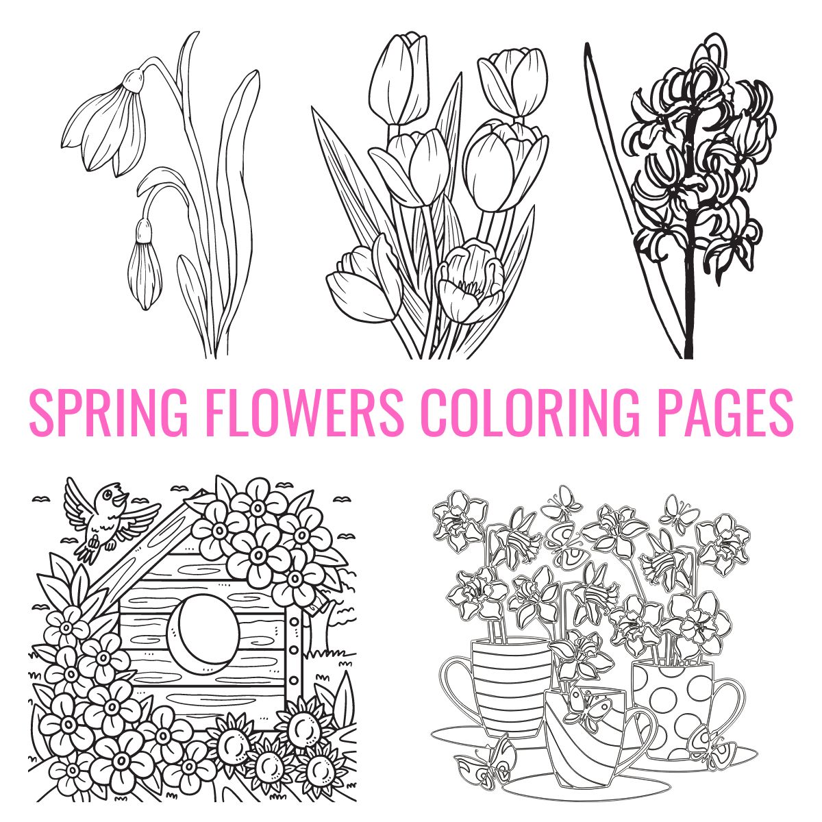 spring flowers coloring pages.