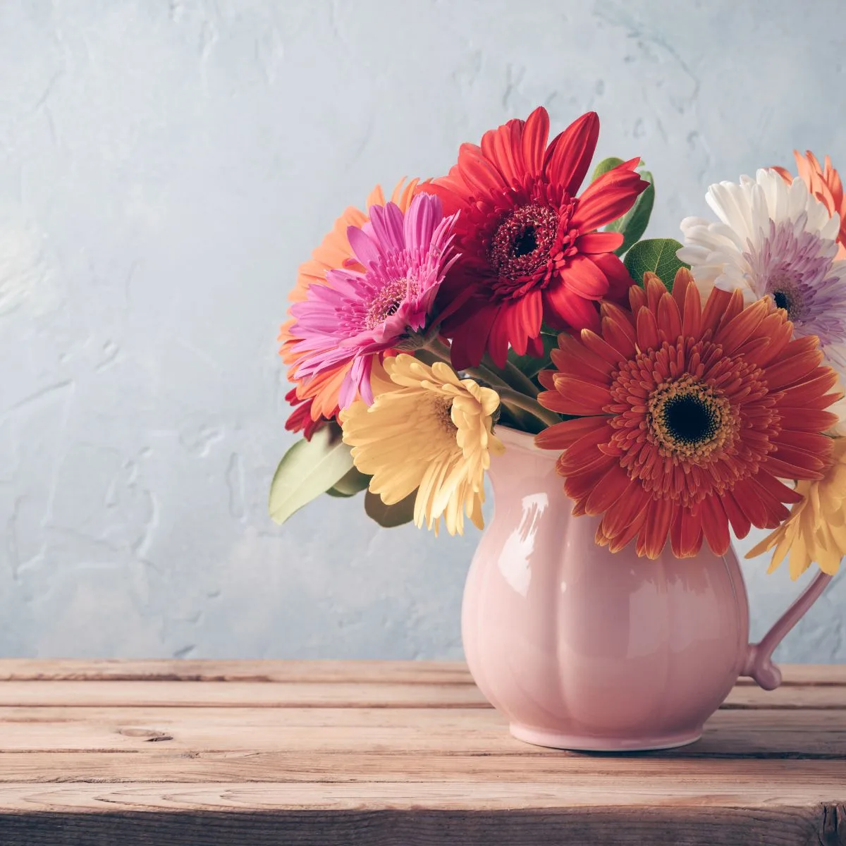a pink pitcher case with brightly colored gerbera daisies. 