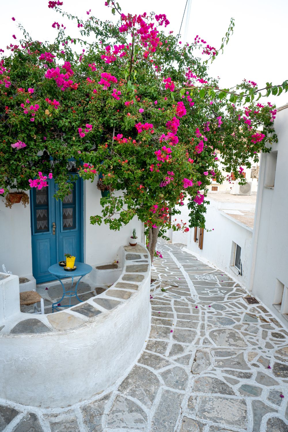 Bright pink bougainvillea draped over a blue front door.