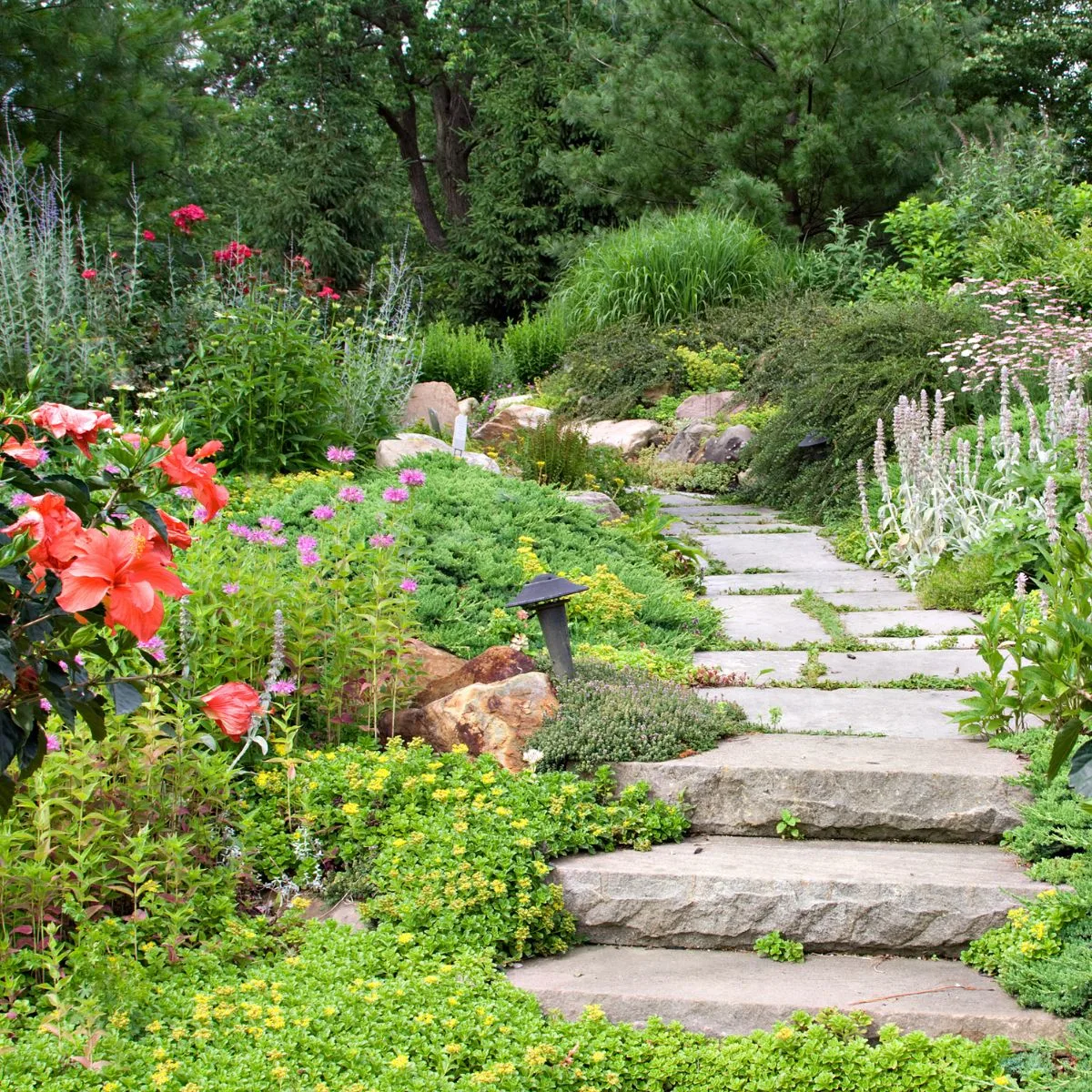 mixed flower border on both sides of a stone path. 