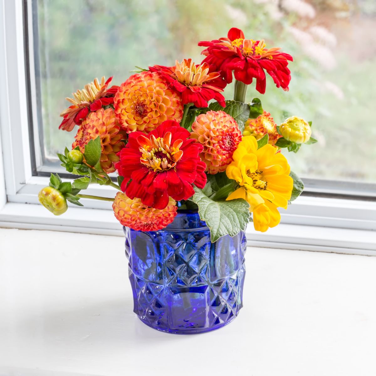 a bouquet of red, orange, and yellow zinnias in a blue glass vase. 
