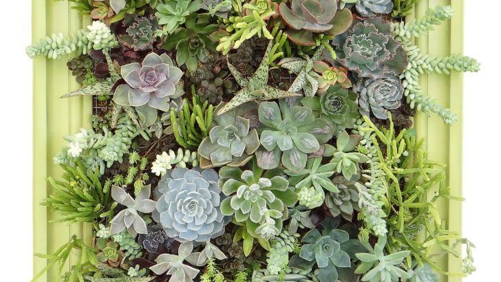 20 Practical Succulent Wall Planters for an Instant Vertical Garden