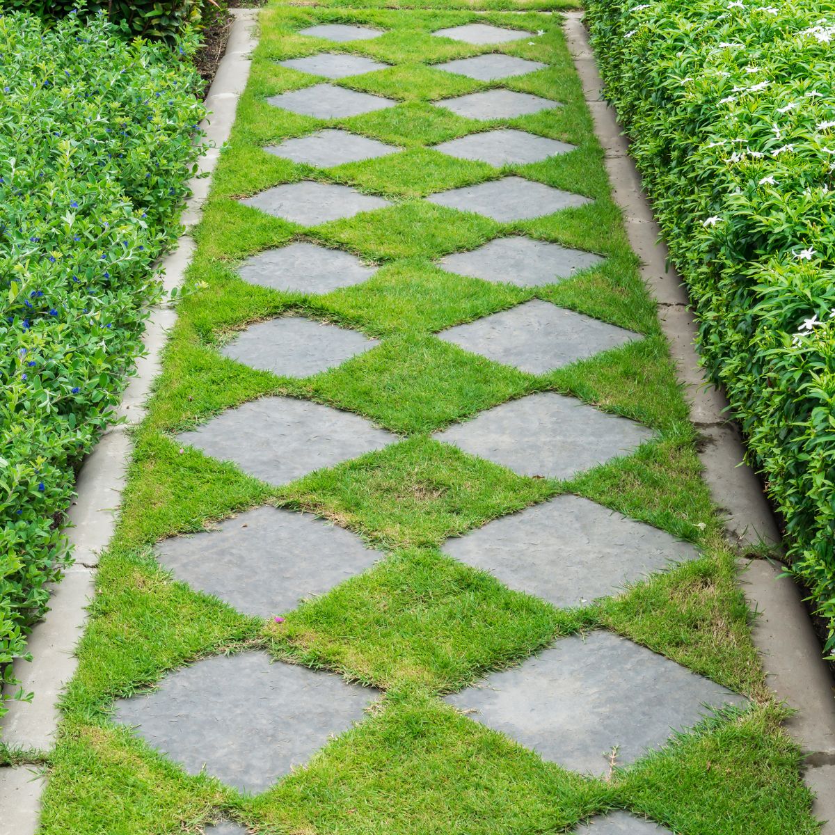 A path with grass and pavers mixed up geometrically.