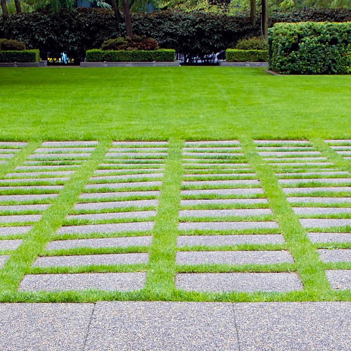 grass between concrete pavers.