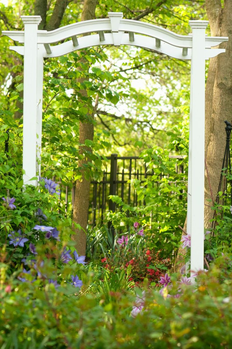 12 Best Garden Arbors & Arches For Any Outdoor Space