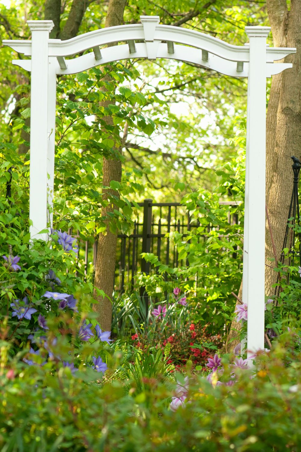 white arbor in a cottage garden.