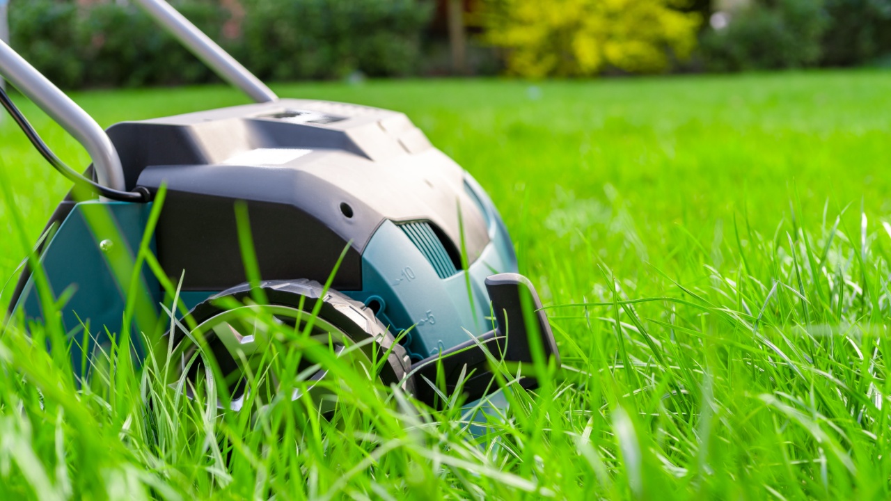 Scarifier on green grass. Work in the garden. scarifier
